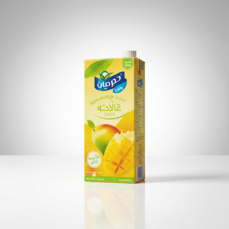 Domty Mango Nectar 1L