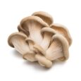 Oyster Mushroom 500 gr