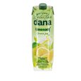 Dana Lemon/Lime 1L